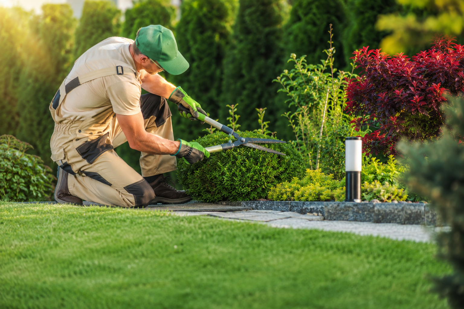 Professionelle Garten- und Grünpflege